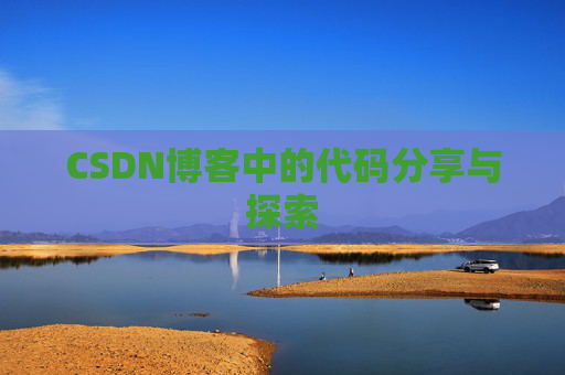 CSDN博客中的代码分享与探索